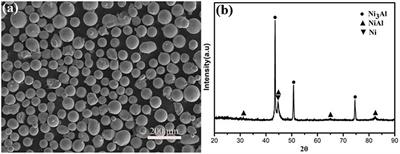 Mechanical, Tribological, and Oxidation Resistance Properties of NiCrAlY Coating by Atmospheric Plasma Spraying